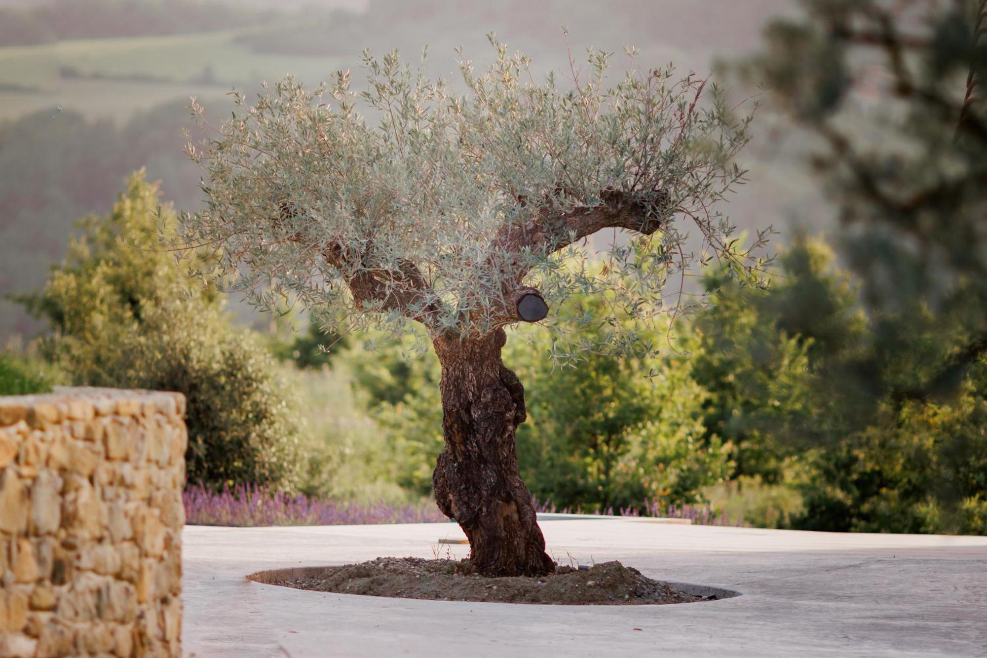 مبيت وإفطار Crupies Domaine De Chabanne المظهر الخارجي الصورة